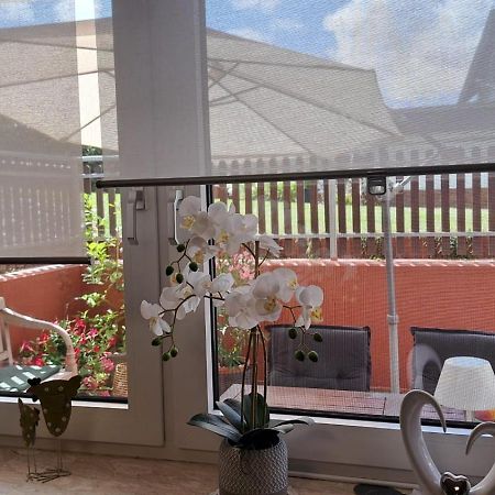 Ferienwohnung Am Reitersgaesschen Blankenrath Exteriér fotografie